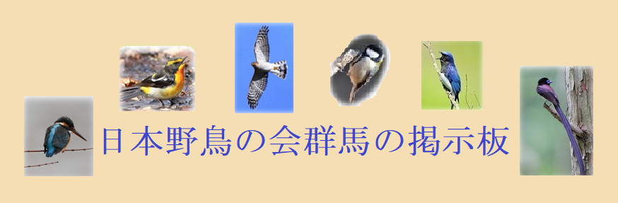 日本野鳥の会群馬の掲示板